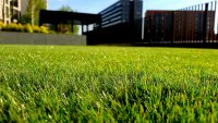 Gras zo groen als een voetbalveld? Zo pak je dat aan
