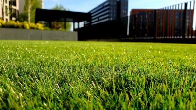Gras zo groen als een voetbalveld? Zo pak je dat aan